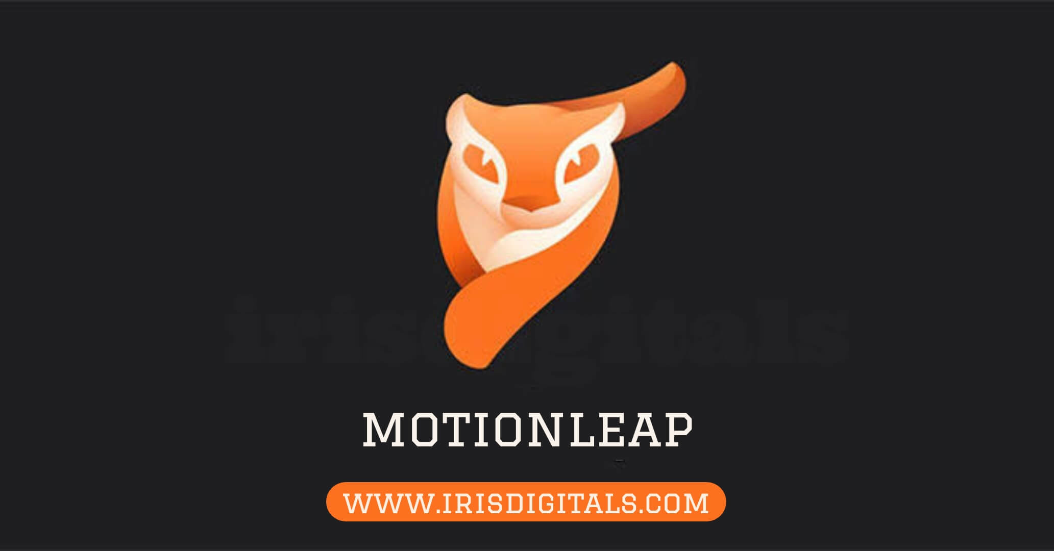 Motionleap App