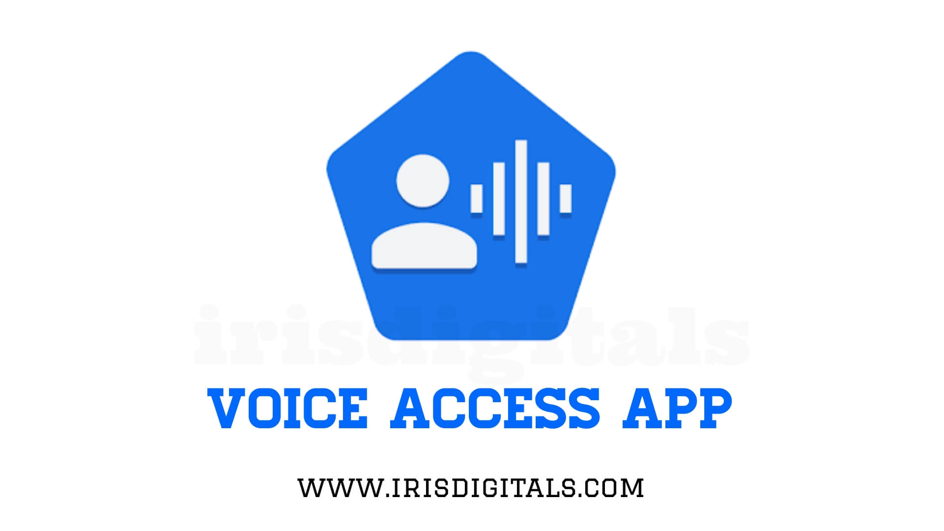 Voice access app by Google