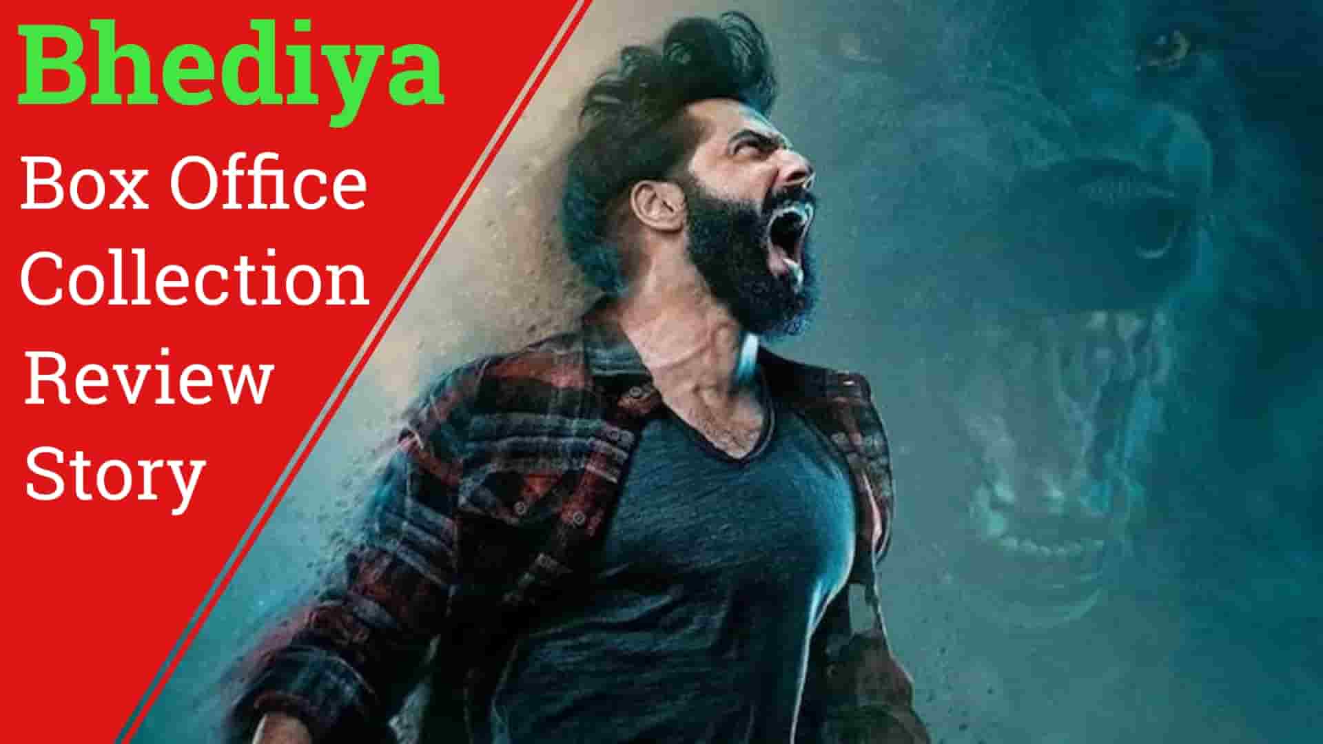 Bhediya Box Office Collection Story and Review